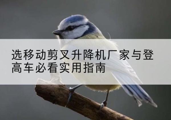 海南电动升降机厂家-选移动剪叉升降机厂家与登高车必看实用指南